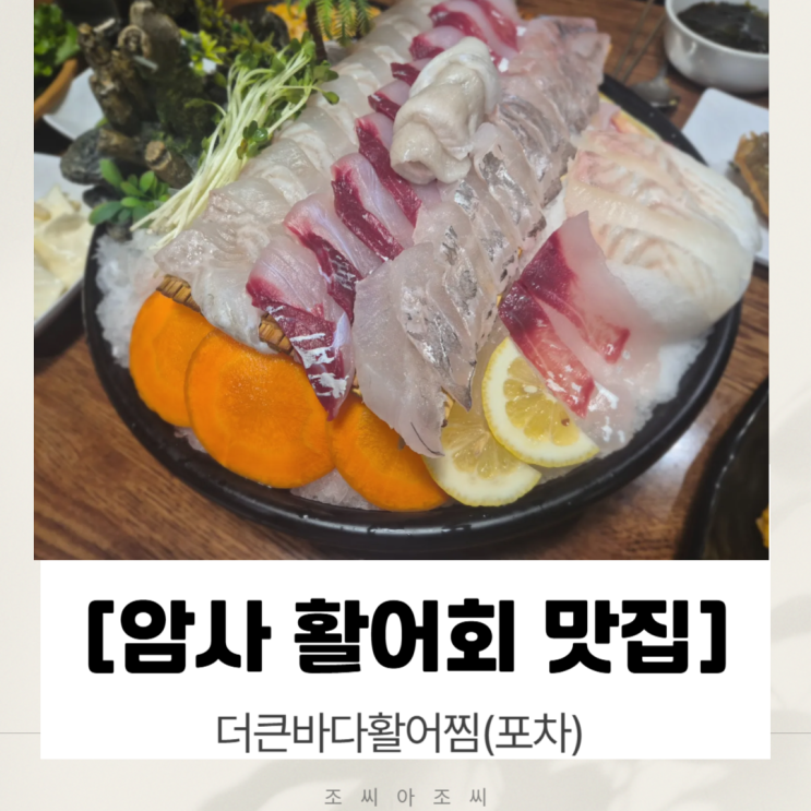  [강동맛집/암사맛집] 더큰바다활어찜(포차) 솔직 후기! 큰바다활어 회포차 강추 (천호맛집 강동술집)