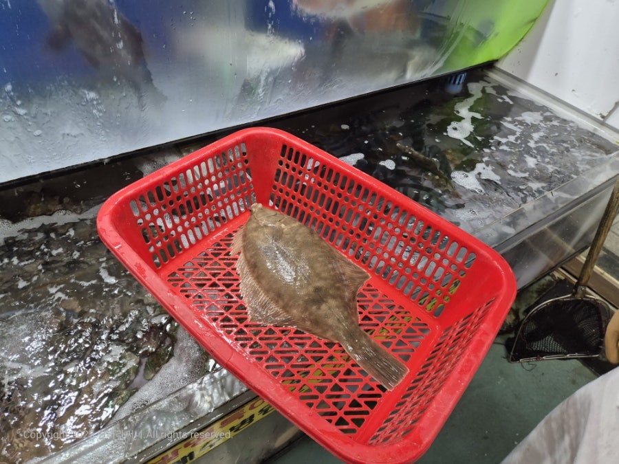 원양호 사진 6