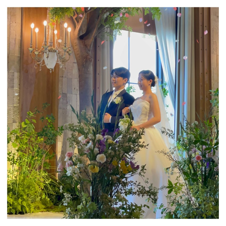  우연처럼, 운명처럼