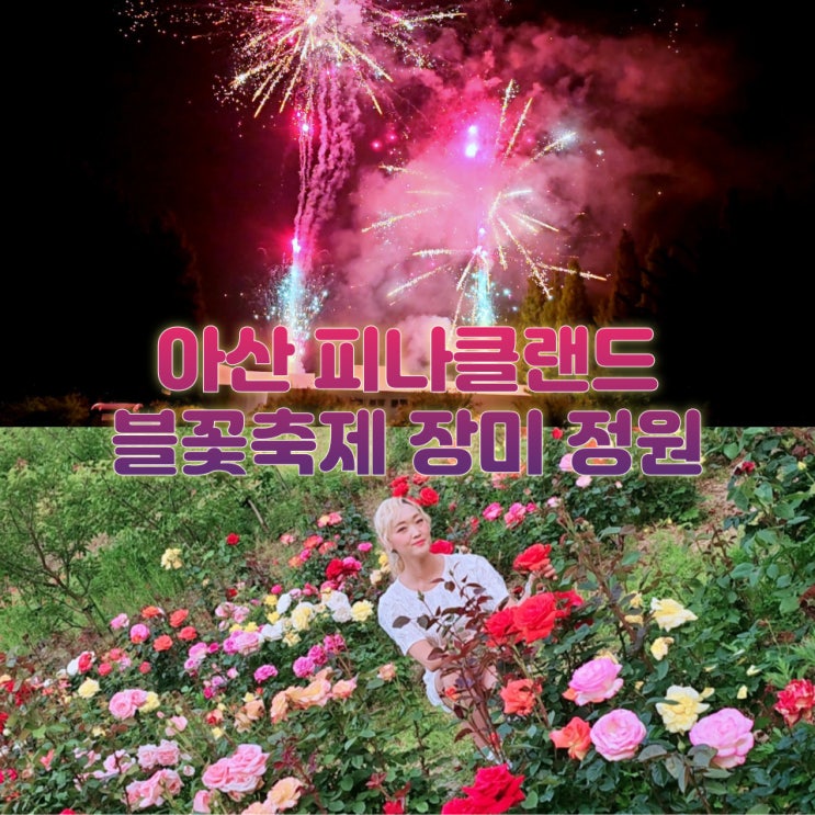  아산 피나클랜드 불꽃축제 장미 수목원 돗자리 팁까지 갈만한곳 정리