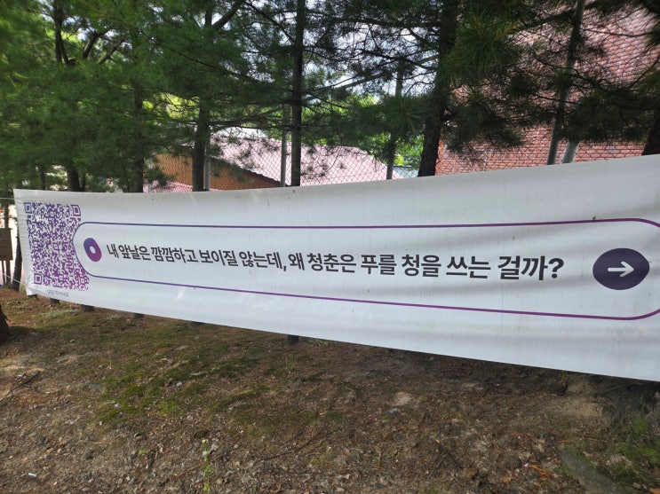  내 앞날은 깜깜하고 보이질 않는데, 왜 청춘은 푸를 청을 쓰는 걸까?