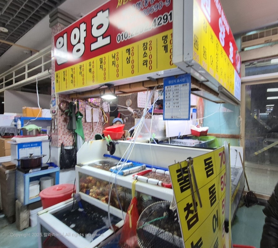 원양호 사진 4