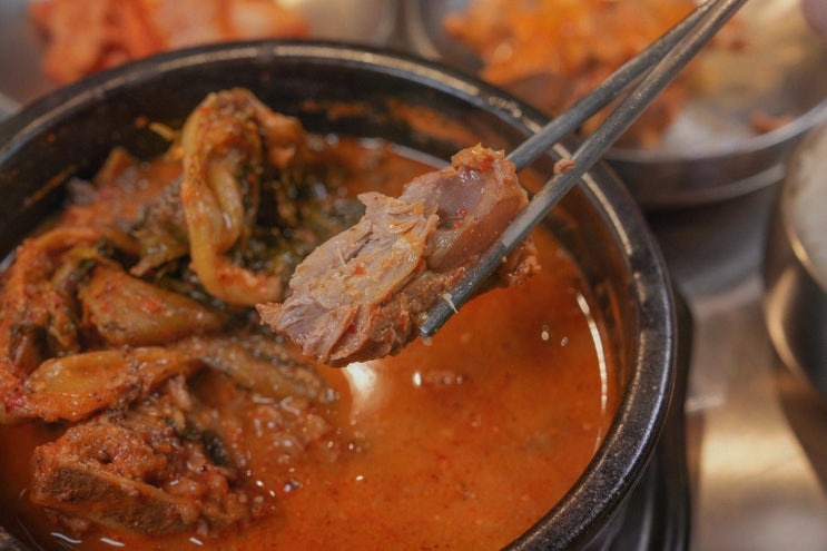  신사동뽈살, 쫄깃한 뽈살이 매력적인 신사동 뽈살 맛집