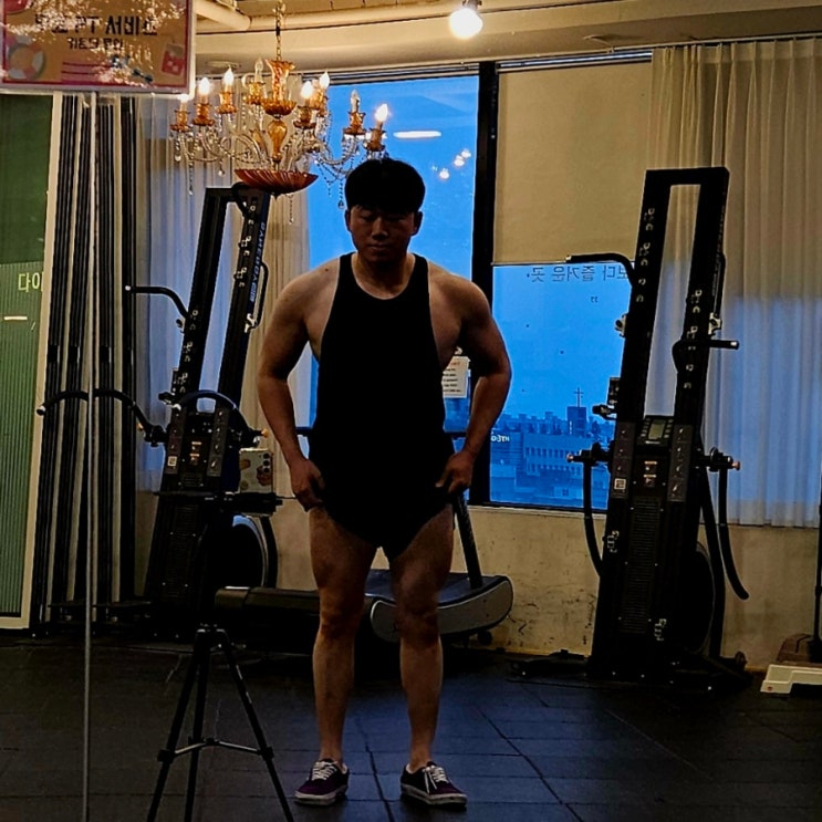 하체 삼두 운동일기 벌크업 중기 체형 변화 루틴 리뷰 하체 삼두 운동일기 벌크업 중기 체형 변화 루틴 리뷰