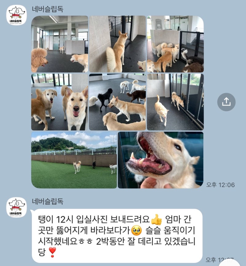 사진 7