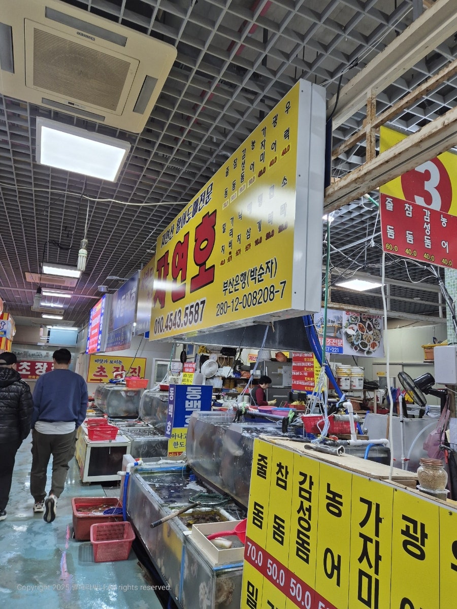 원양호 사진 7