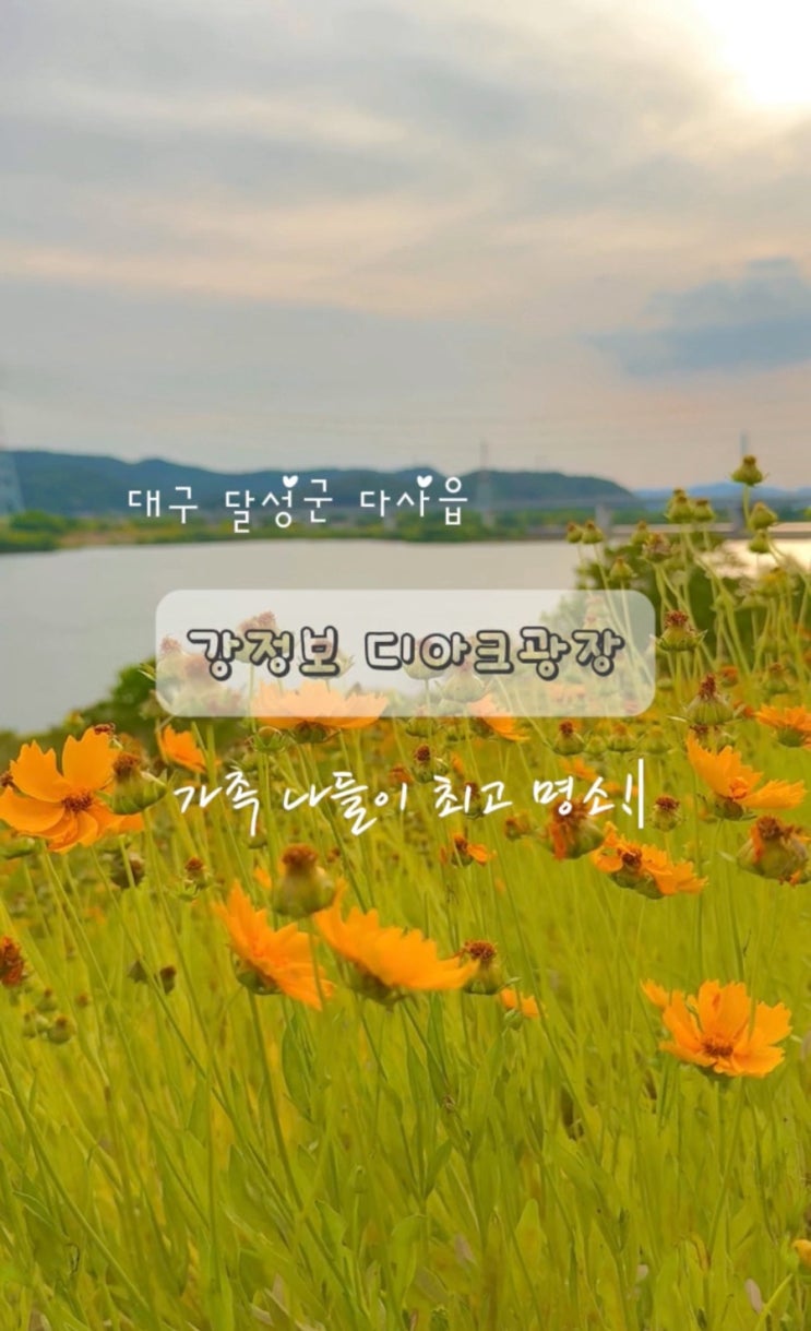  대구 아이랑 강정보 피크닉 텐트 대여