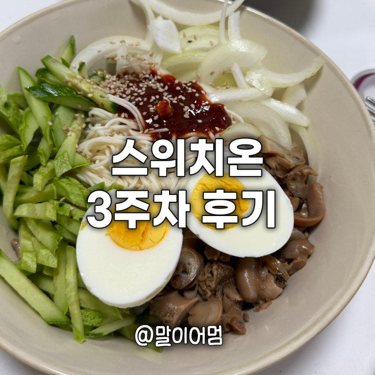  스위치온 다이어트 3주차 후기, 식단 (총 -3.2kg 감량 ) 다이어트 순항중