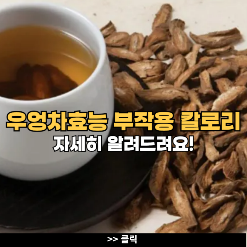 우엉차효능 부작용 칼로리 우엉 효능 : 네이버 블로그
