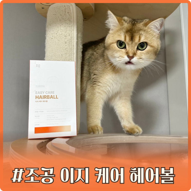조공 이지 케어 헤어볼 츄르 추천 헤어볼관리