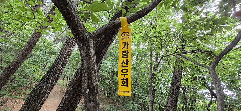 뱀산 사진 6