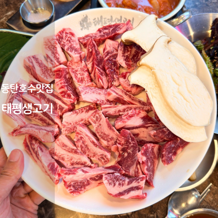  동탄호수공원 고기집 태평생고기 소고기 소갈비살 구이