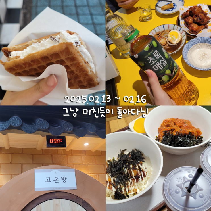  2월일상 5 :: 길냥이의 노래방 술집 찜질방 만화카페 탐방기