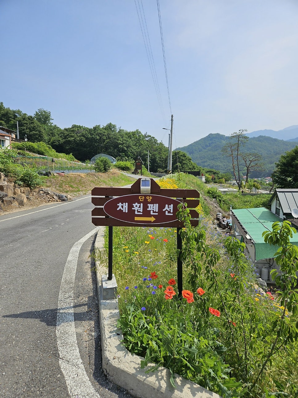 단양채훤펜션 사진 1