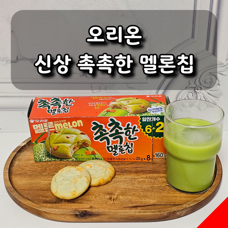  [오리온] 신상 촉촉한 멜론칩 내돈내산 후기