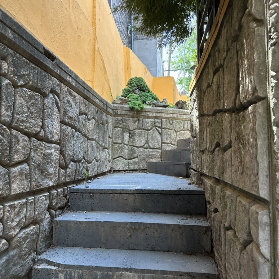 파올로데마리아 사진 2