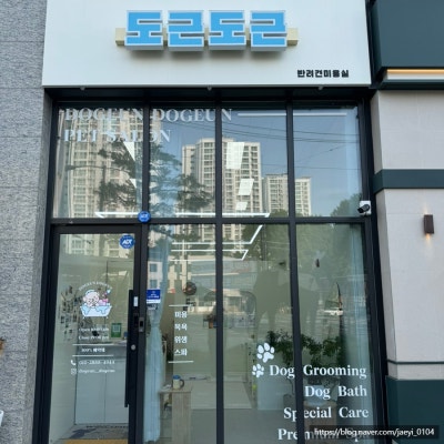 사진 7
