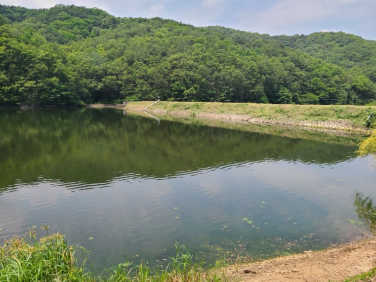 경주시 서면 도리 저수지 주변 500평  예초대행("경주예초대행")