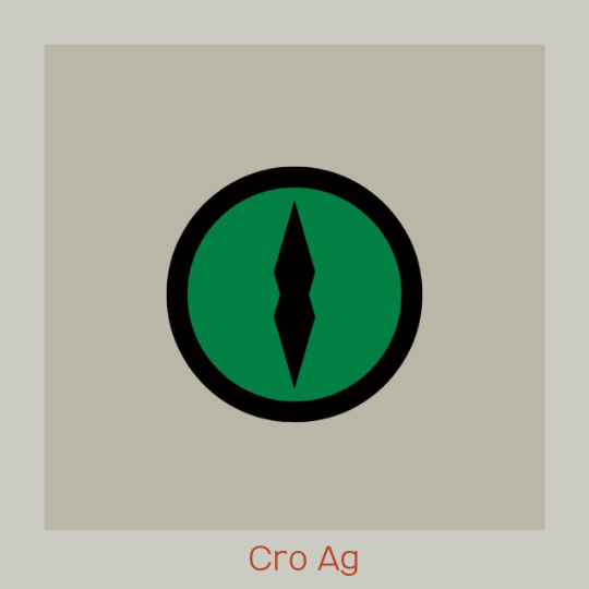  에어드랍 작업 Cro Ag DEX 거래하고 포인트 모으자