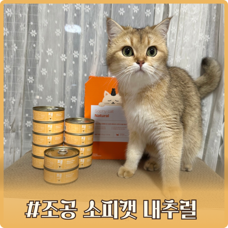 소피캣