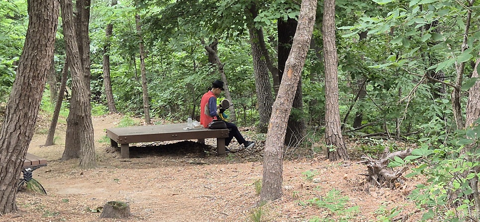 뱀산 사진 5