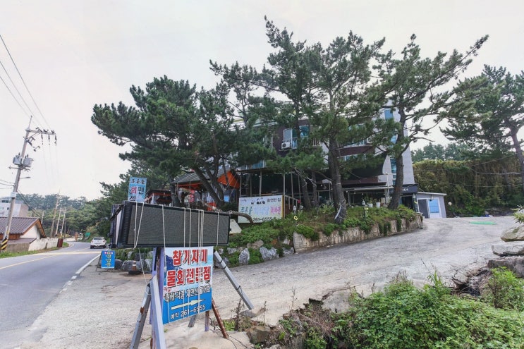  [맛집리뷰] 포항푸른솔회식당, 신선한 회와 친절한 서비스로 유명한 포항북구횟집