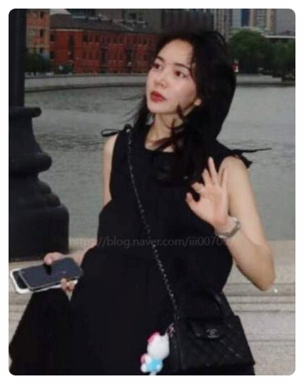  잡식공룡 왕현수 일베 논란부터 중국 국적 의혹까지 무슨 일이 있었나