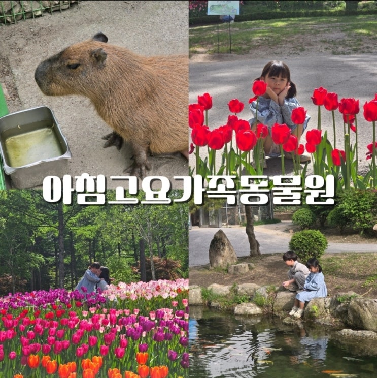  가평 아침고요가족동물원 & 아침고요수목원 패키지 후기