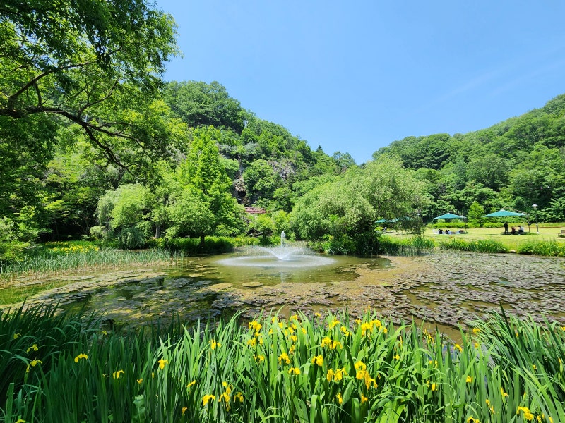 사진 5