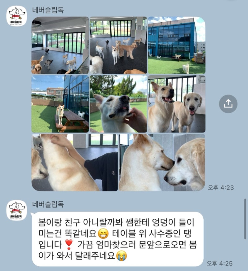 사진 8