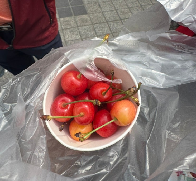  속초 가볼만한 곳 여행코스로 좋은 중앙시장 닭강정