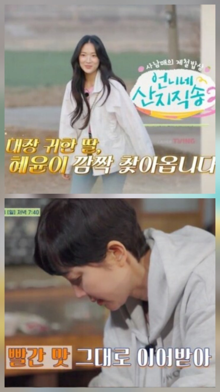 언니네 산지직송2 9회 김혜윤 등장 리뷰 언니네 산지직송2 9회 김혜윤 등장 리뷰