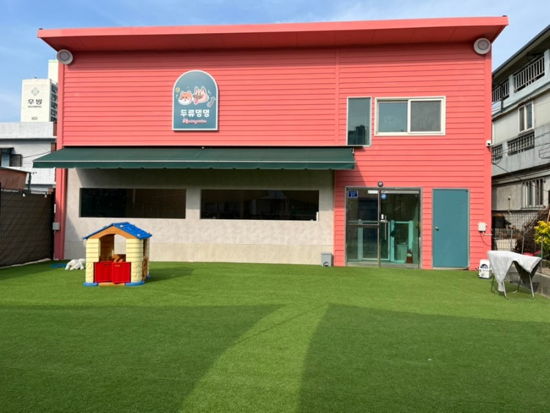 사진 9