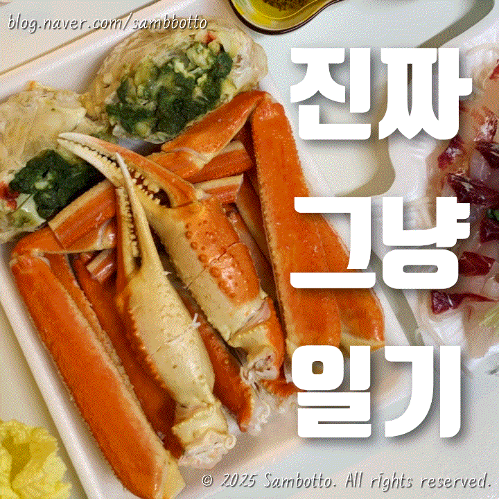 진짜 그냥 일기 | 양평 드라이브, 강서수산시장 대게 포장, 마늘/청양고추 소분, 달바 워터풀 프레쉬 선쿠션, 귀여운 고양이