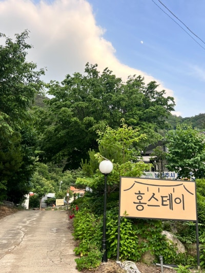 사진 2