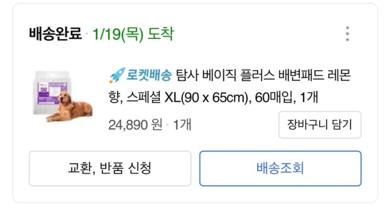 강아지 대형견 배변패드 추천 탐사 베이직 플러스 배변패드