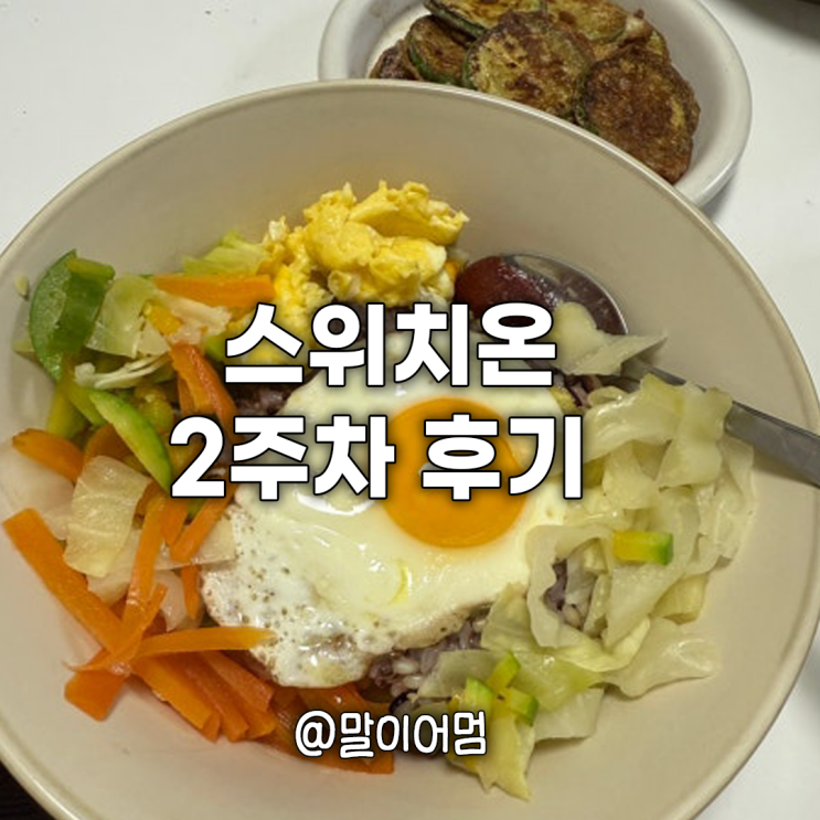  스위치온 다이어트 2주차 후기, 식단 (-1.4kg 감량 / 생리통, 생리불순?)