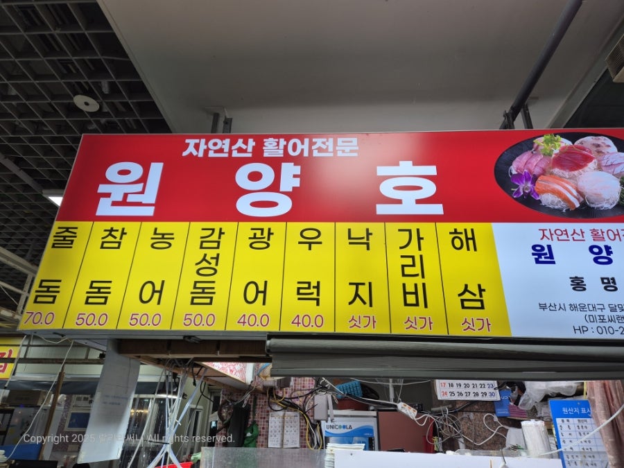 원양호 사진 5