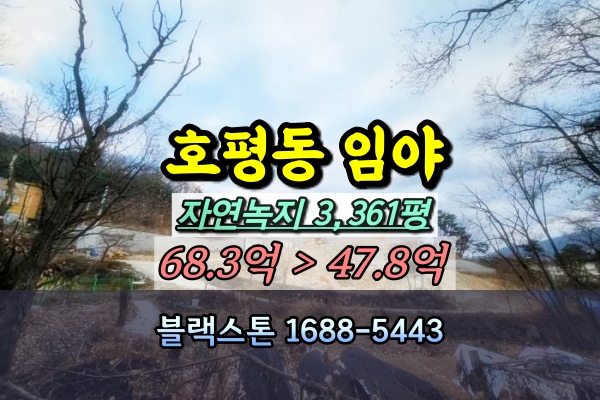  호평동 임야 경매 남양주 토지 3천평 개발부지 [2023타경5035]