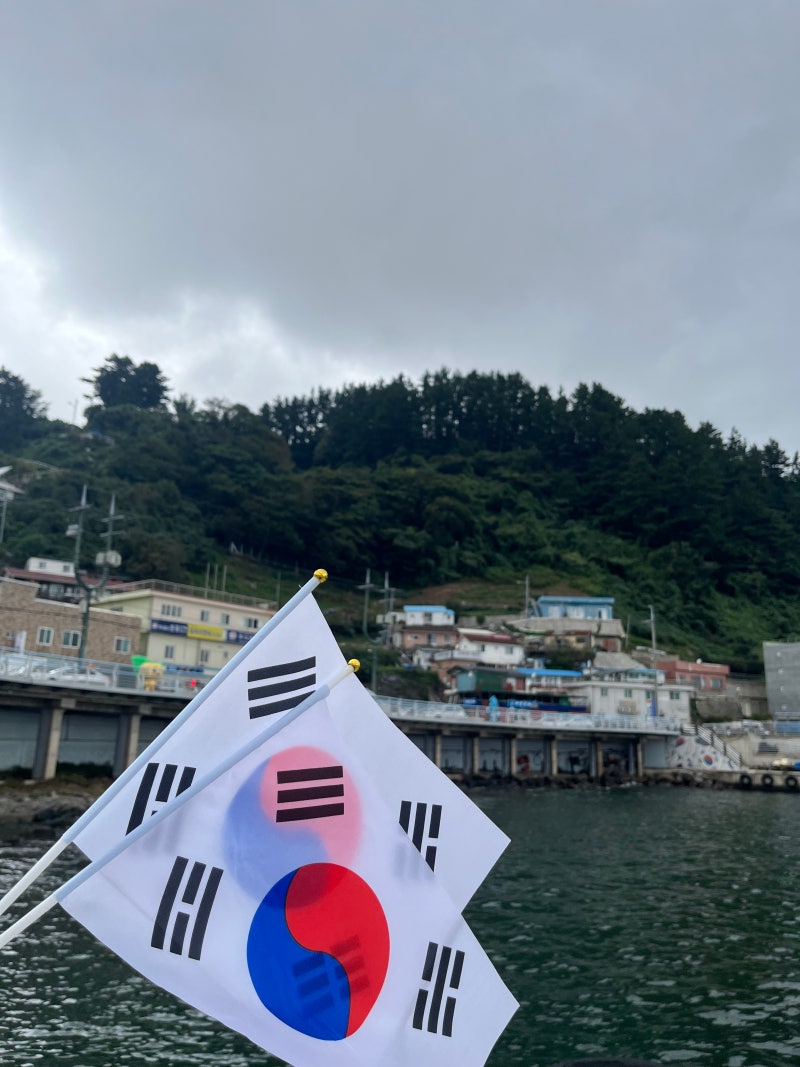 울릉도 가는 법 모든 배편 총정리 강릉 묵호 포항 저동 도동 사동 여객선 크루즈 가격 울릉도....