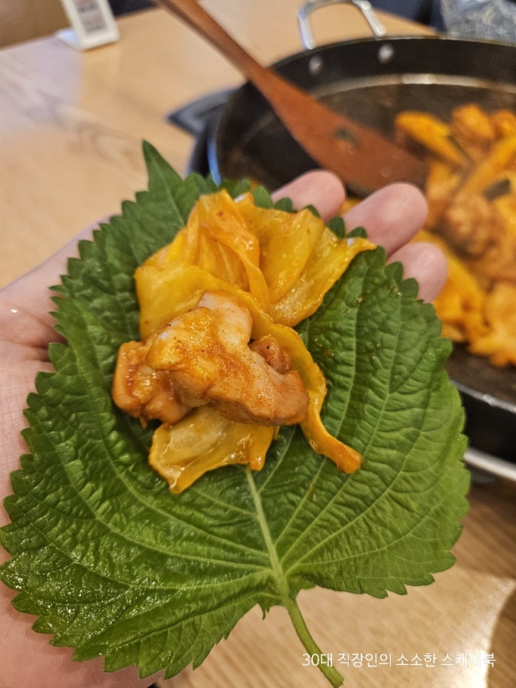  방학동맛집 오늘도닭갈비 본점 간만에 맛있는 철판닭갈비 먹고옴