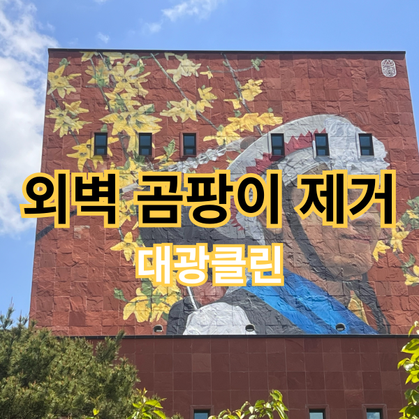 대전 외벽 곰팡이 제거 청소 후기