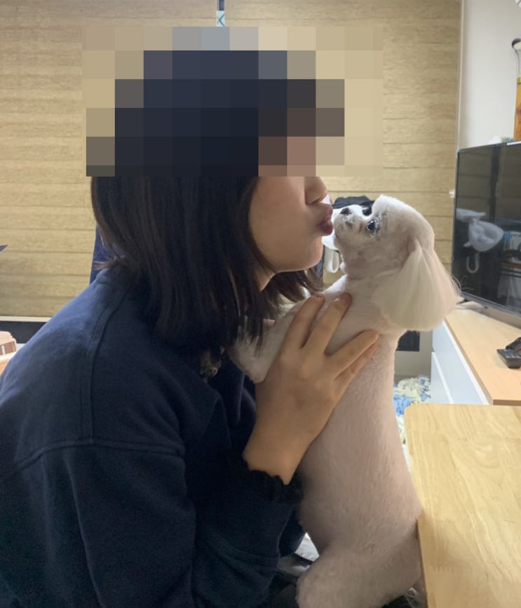  말티즈 소다와 뽀뽀하는 조카