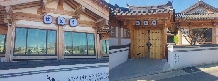  [맛집리뷰] 도화당, 경주 데이트 추천 맛집으로 칼국수 완벽한 선택