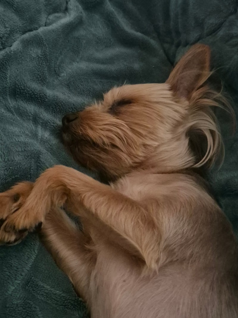 한국일보 캐나다 2023년 1월 4일 (수) by Koreatimes(뉴스 보기) - Issuu, image size:800x1067