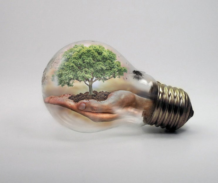  에코브리티 ( Ecobrity )의 의미와 대표 인물 소개.