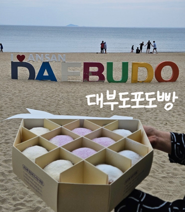 대부도가볼만한곳 추천! 대부도 가면 무조건 사오는 그 빵, 대부도포도빵!