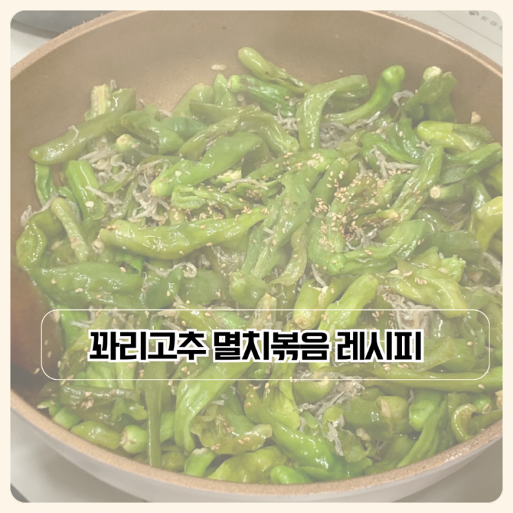  냉장고 속 재료로 뚝딱 ! 꽈리고추 멸치볶음 황금레시피