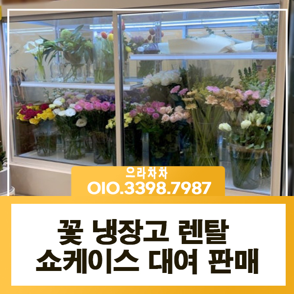 꽃 냉장고 렌탈 꽃보관 온도 플라워쇼케이스 대여 중고 임대 매입