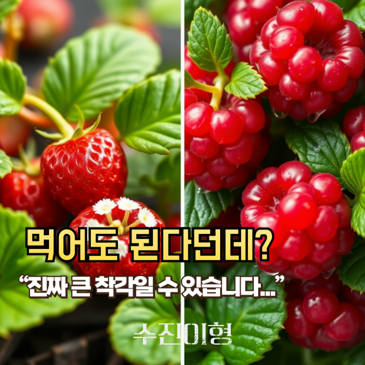 산딸기라 믿고 먹었다가 병원행..? 이 열매, 정체가 뭐죠?
